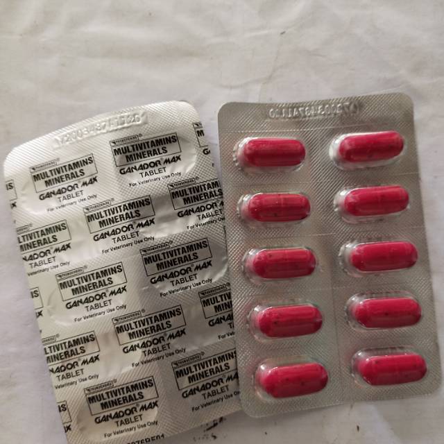 GANADOR MAX DOPING VITAMIN MINERAL AYAM PISAU PHILIPINE