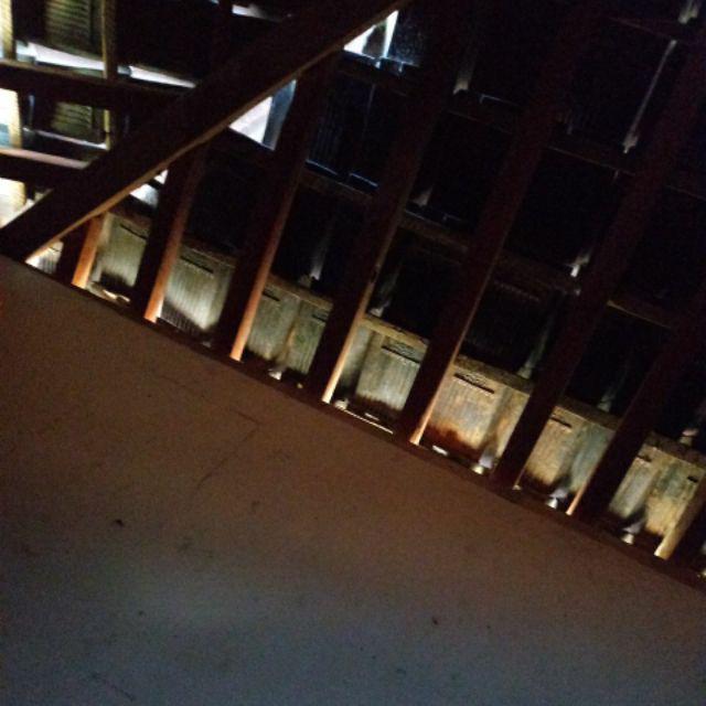 Pisau Buah Dan Sayur