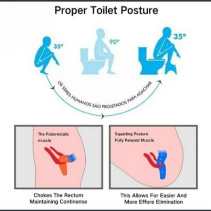 Portable Bangku Toilet lipat Squat Pijakan Kaki Closed Membantu BAB