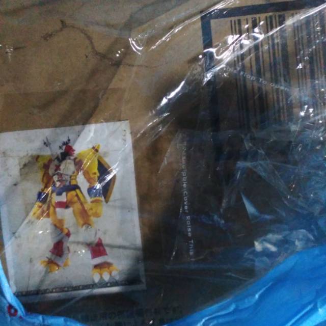 Shf Figure arts wargreymon