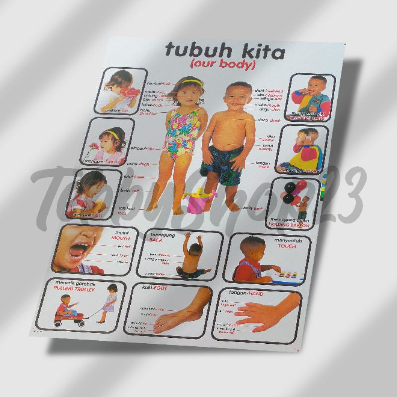 PAKET HEMAT 16 LEMBAR POSTER EDUKASI ANAK ,POSTER DINDING,POSTER TERMURAH, BAYAR DITEMPAT