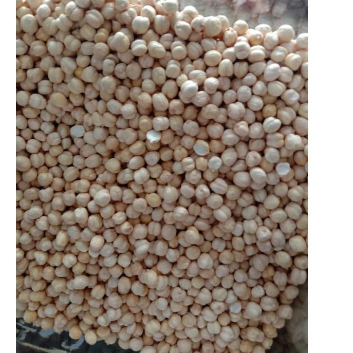 

⚡️Terbaru⚡️ Kacang arab super 1kg grosir