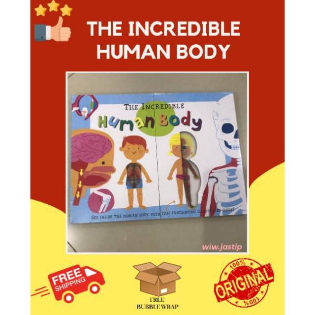 The incredible human body