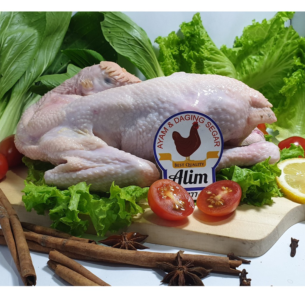 

56. Ayam Kampung Segar (Fresh Chicken Village) _ 900-1000 gram
