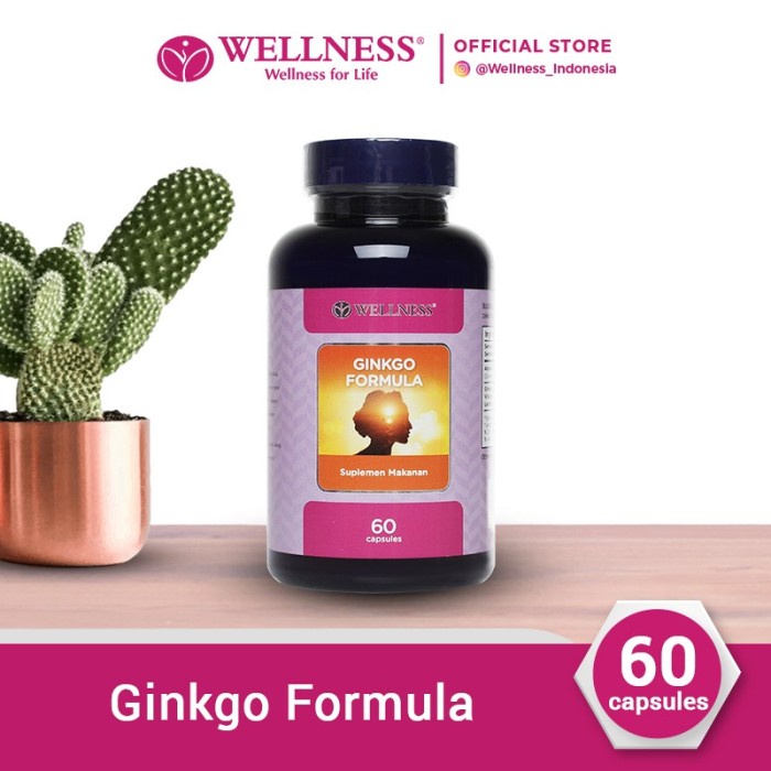 Wellnes Ginkgo Formula 60 Tablets