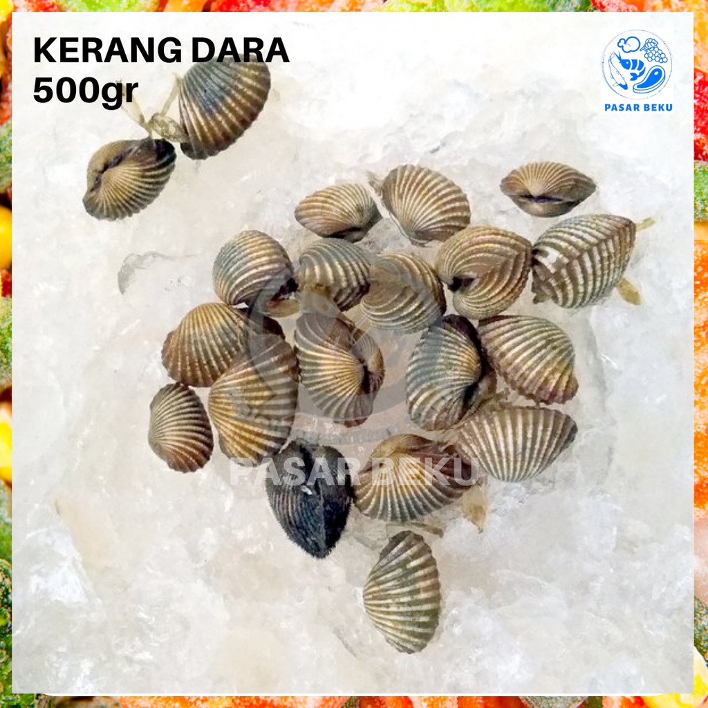 Jual Kerang Dara 500gr Frozen Seafood Kerang Asam Manis Fresh Pasar