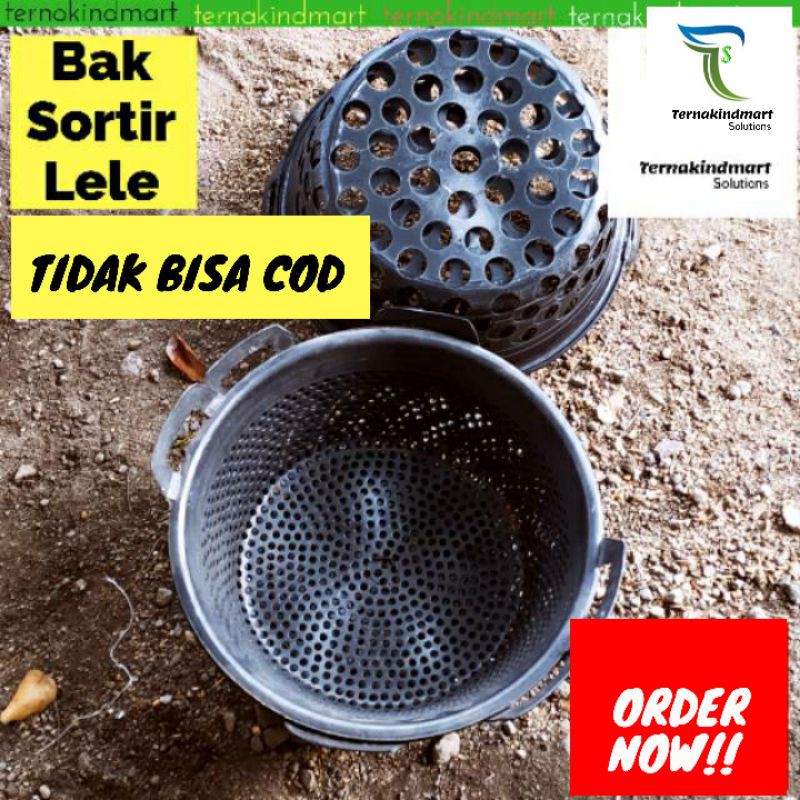 Ember Sortir Seritan Lele - Bak Sortir Ikan