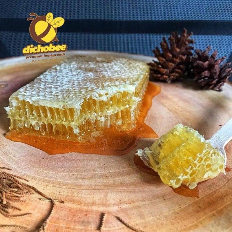 

Dichobee - Sarang Madu Mallyfera