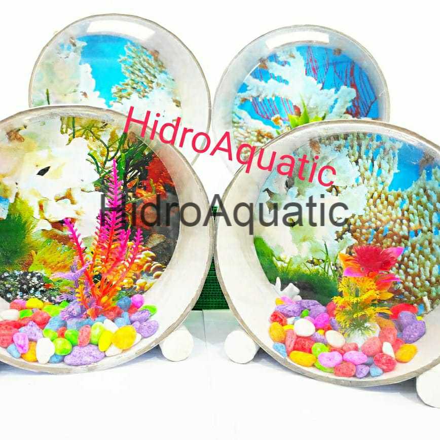 AQUARIUM IKAN CUPANG - AQUARIUM IKAN MINI - AQUARIUM GANTUNG (AKSESORIS BATU HIAS DAN TANAMAN HIAS)