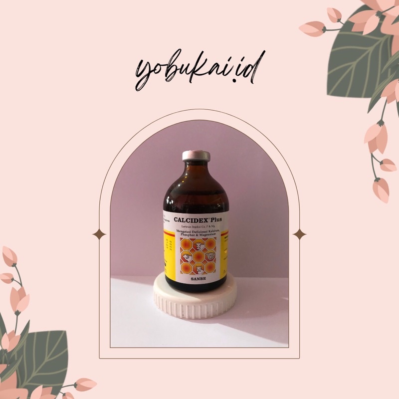 Calcidex Plus Inj 100ml