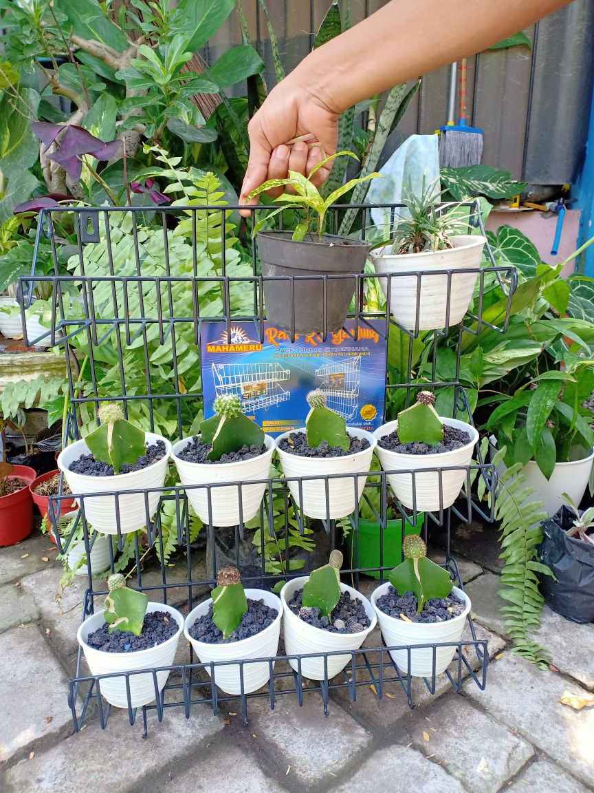 Rak Bumbu Dapur Rak Kamar Mandi Rak Serbaguna Termurah