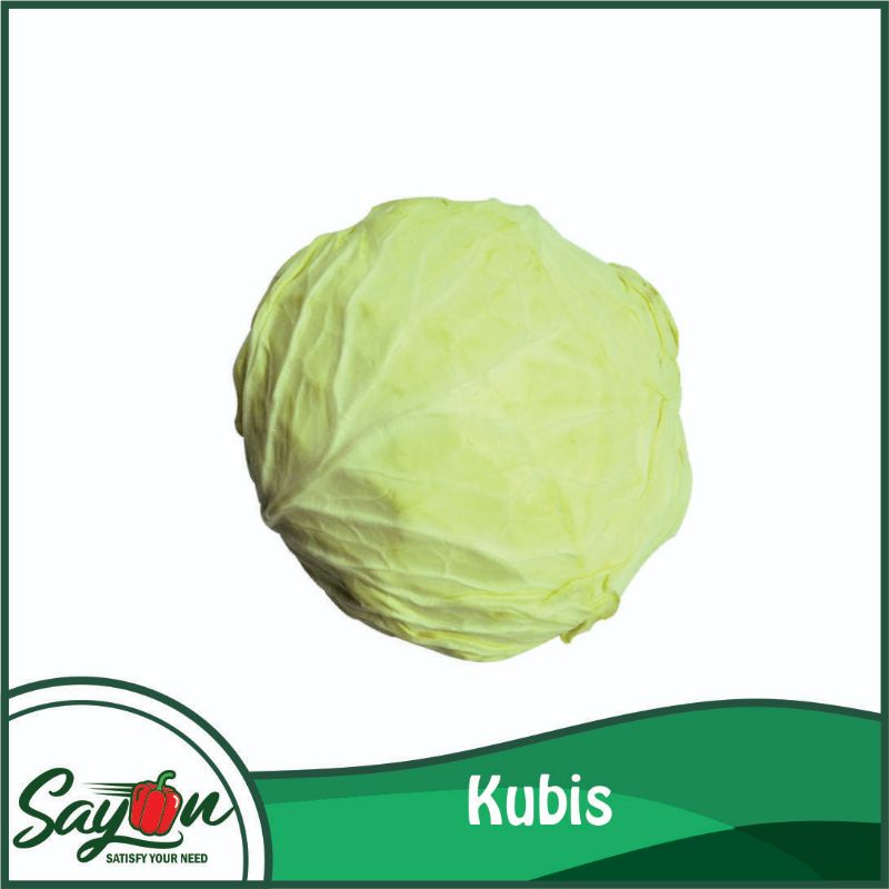 

Kubis , Kol , Sayur Kubis - Sayon Jogja