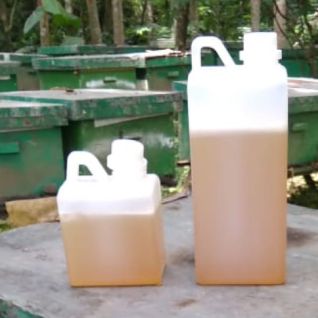 

Madu murni peternakan tanpa pemanis dan pengawet