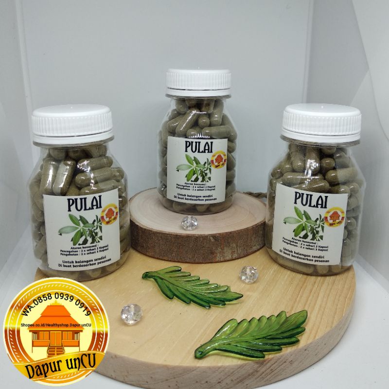 

Daun PULAI.100 kapsul. ( di buat ketika ada pesanan, sehingga produk selalu baru..)