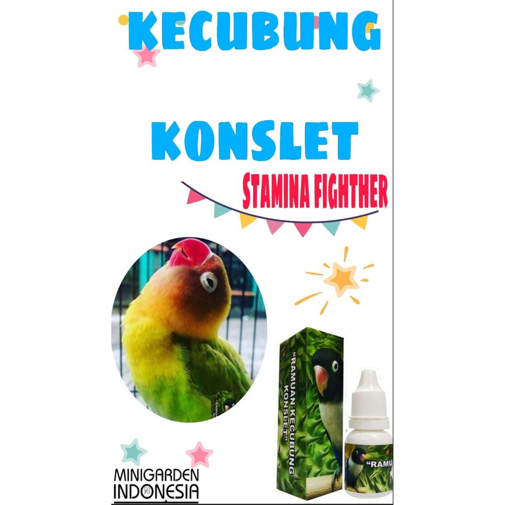 VITAMIN BURUNG RAMUAN KECUBUNG KONSLET suplement tambah stamina fighther lovebird lomba ngekek gacor