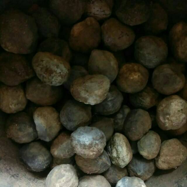 

Biji Kemiri cangkang / kemiri kulit /kemiri belum dikupas /kumbek.