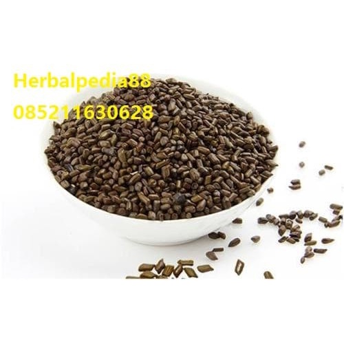 jue ming zi Cassia seed Semen Cassiae 600 gram