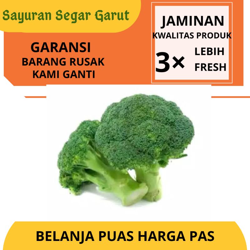 

Sayur Brokoli Hijau Segar Murah 500gr by Sayuran Segar Garut