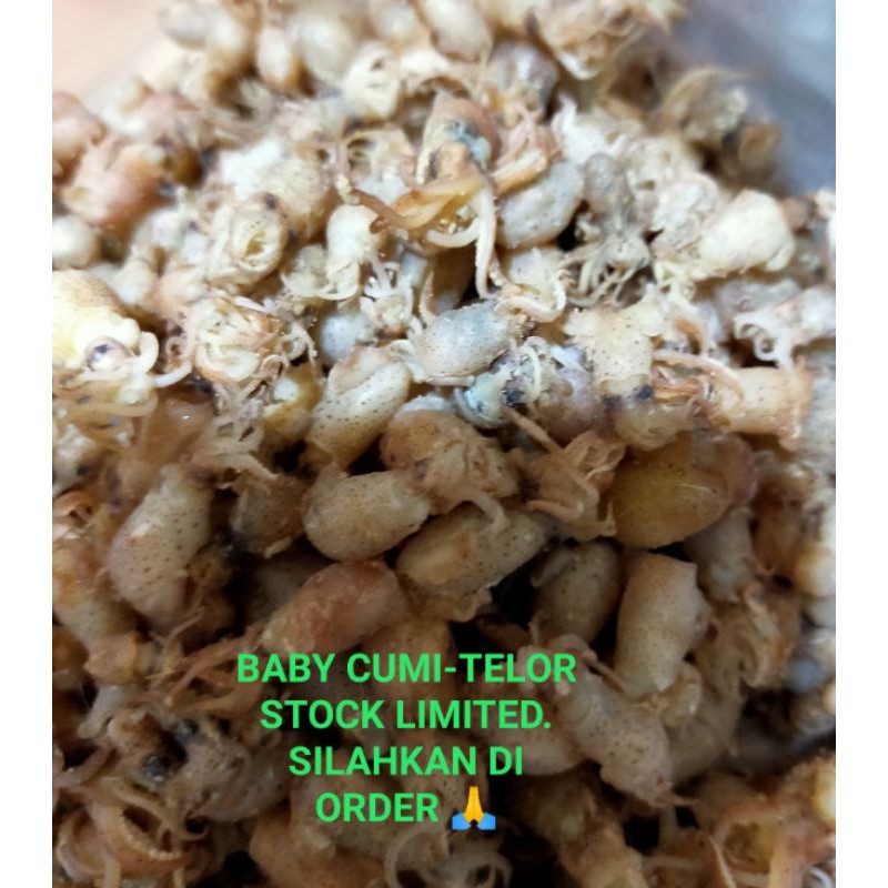 

BABY CUMI - TELOR