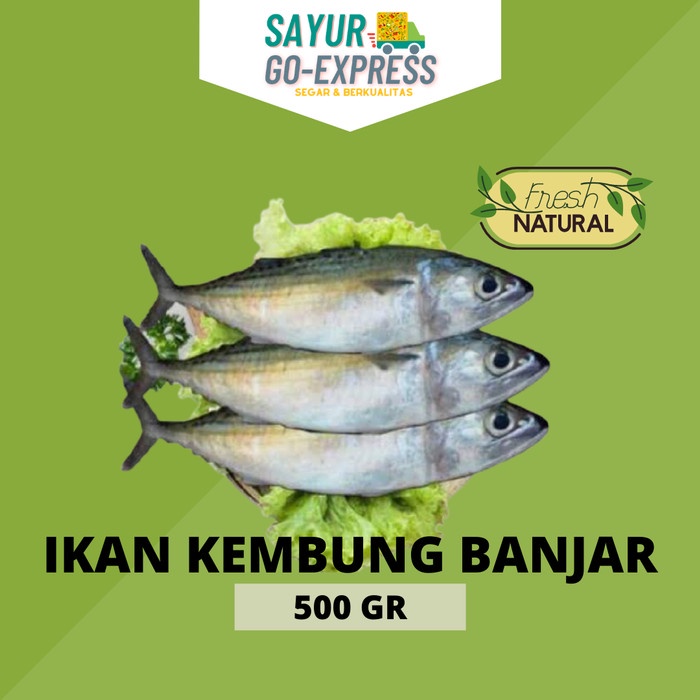 

ikan kembung banjar segar 500gr