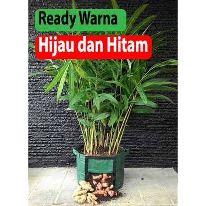 RHIZOMA LARGE planter bag pot bibit tanaman rimpang jahe kunyit kencur lengkuas POLYBAG