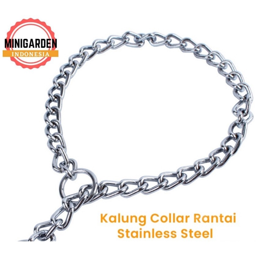 KALUNG RANTAI STAINLESS ANJING dog collar dog chain kalung anjing