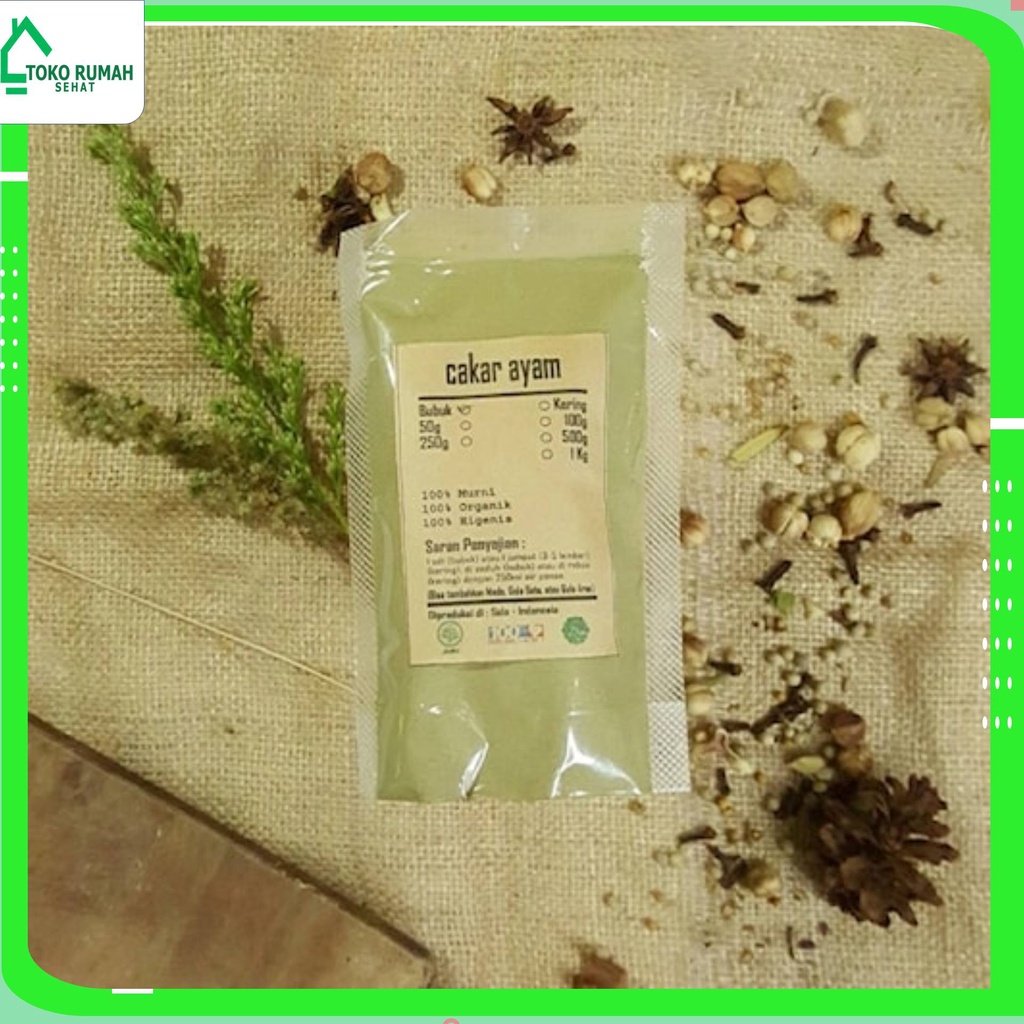 

CAKAR AYAM BUBUK 500 GRAM - Selaginella doederleinii - MURNI - J