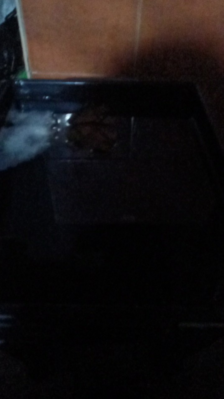 Baskom Plastik / Baskom Cat / Bak Cat / Bak Pasir Kucing - Susan