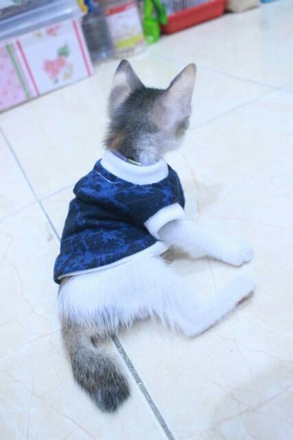 Kaos motif DIY blue lucu untuk kucing dan anjing size S M L XL