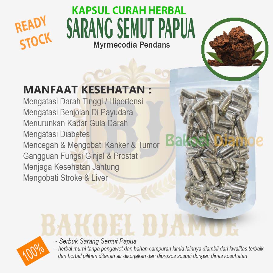 

Kapsul curah herbal sarang semut papua kapsul herbal hipertensi diabetes