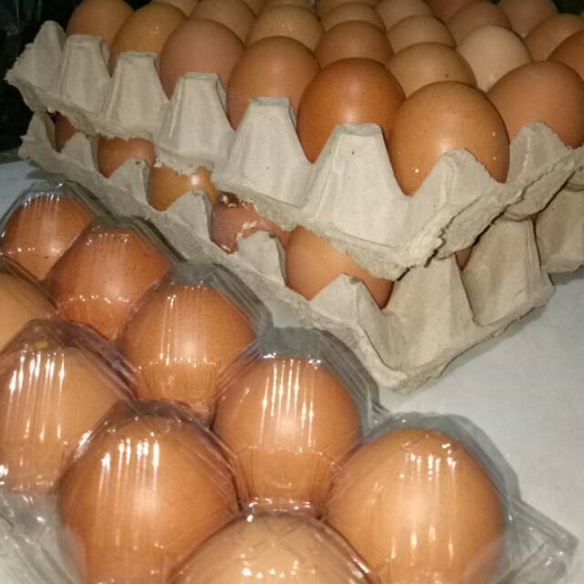 

Telur Ayam Negeri dijual /kg