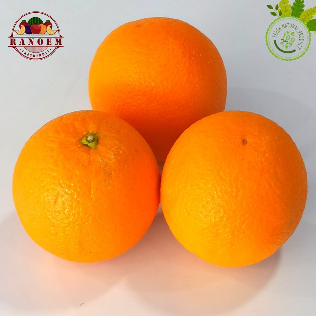

Jeruk Sunkist / Jeruk Navel Impor Australia Segar Ranoem / 1 Kg