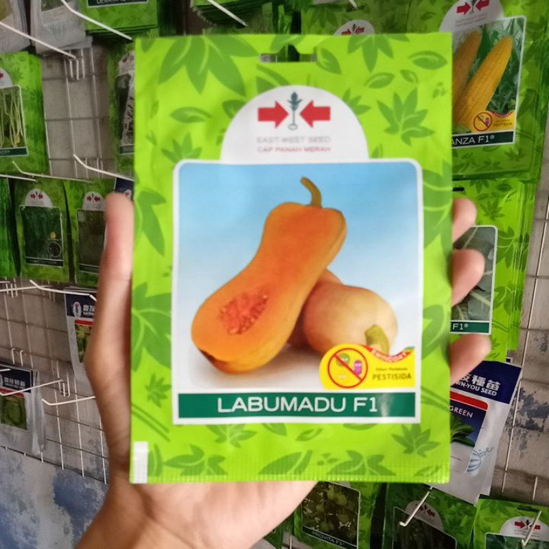 Benih Labu Madu Labumadu F1