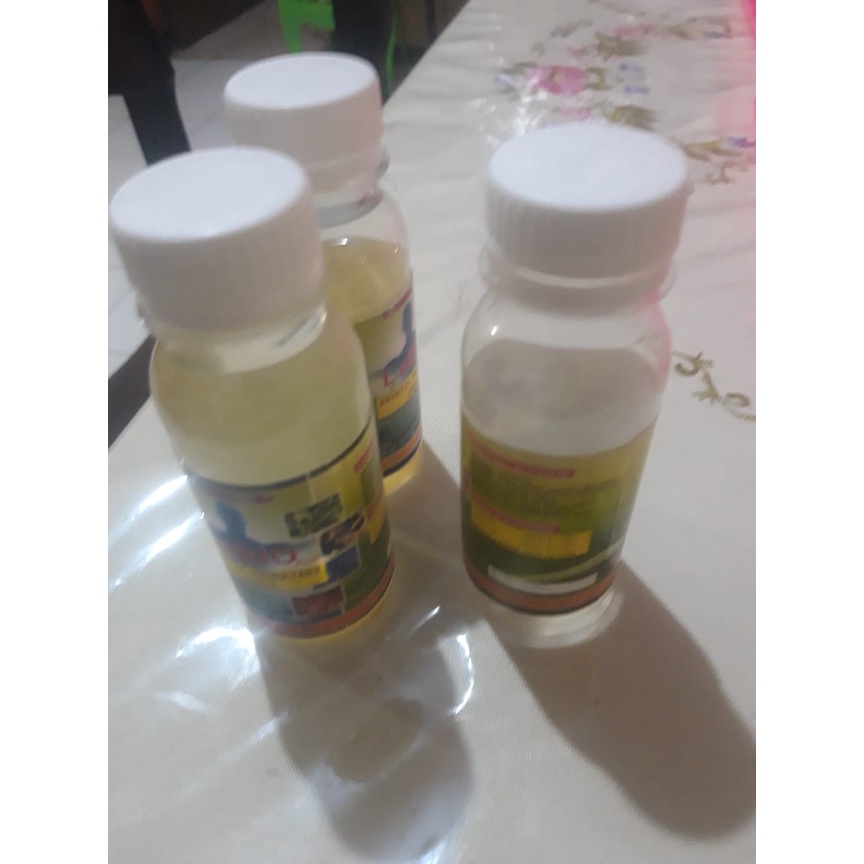

PROBIOTIK LB 10 Khusus Manusia Isi 100 ML