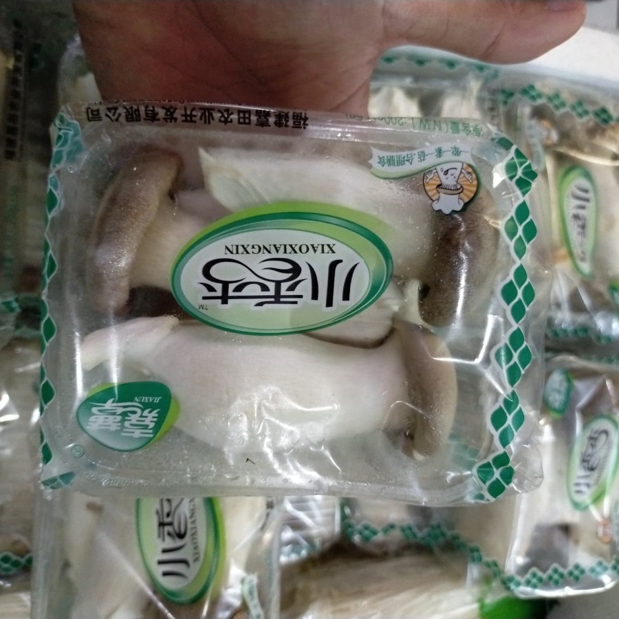 

Jamur Mini Oyster 200gr