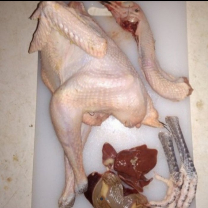 

Ayam Kampung Hidup Potong Fillet Dadakan - 1 Ekor
