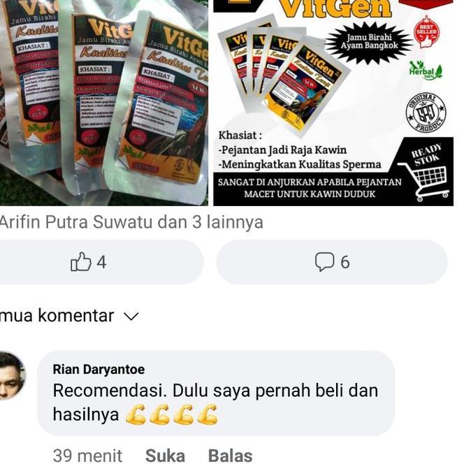〖3.3 COD〗 Jamu Birahi Ayam Bangkok (VitGen) Kemasan Terbaru. (ORIGINAL 100%) PRODUK YANG ASLI HANYA 