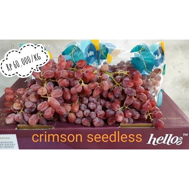 

Anggur Crimson