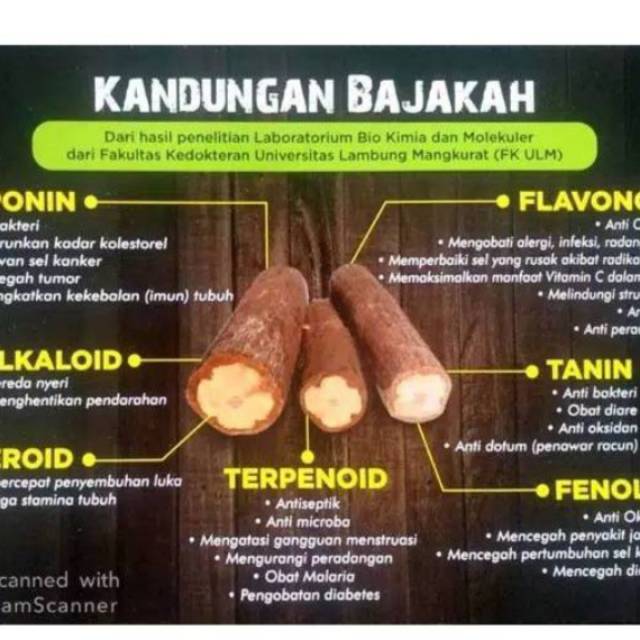 

Akar bajakah yg sudah di jemur/ diawetkan