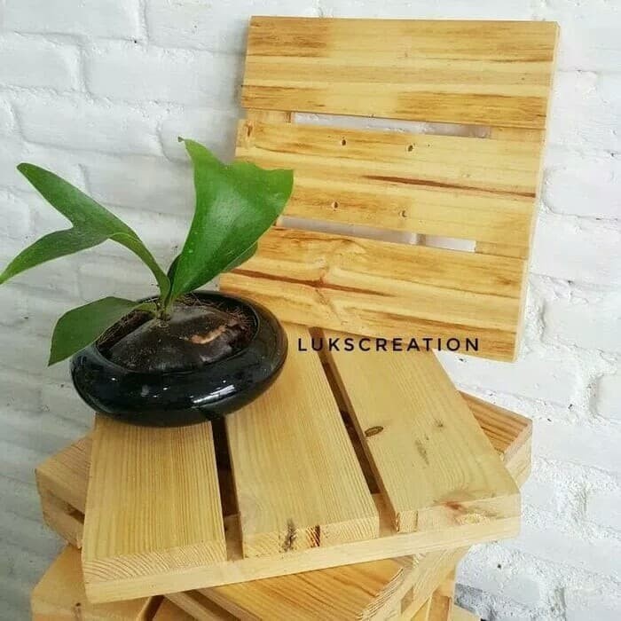

papan kayu tanduk rusa pot gantung tempel dinding dekorasi rumah