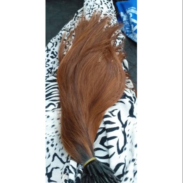 Hair Extension (preloved)
