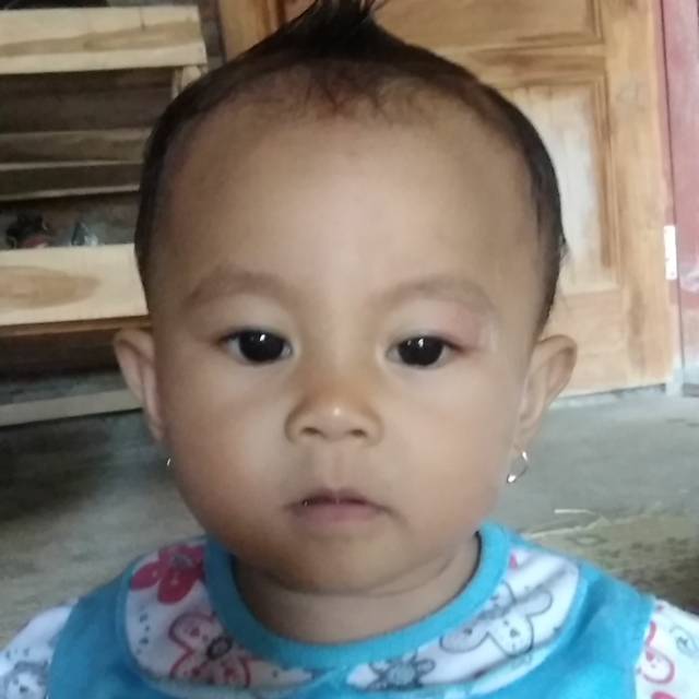 maulid.a