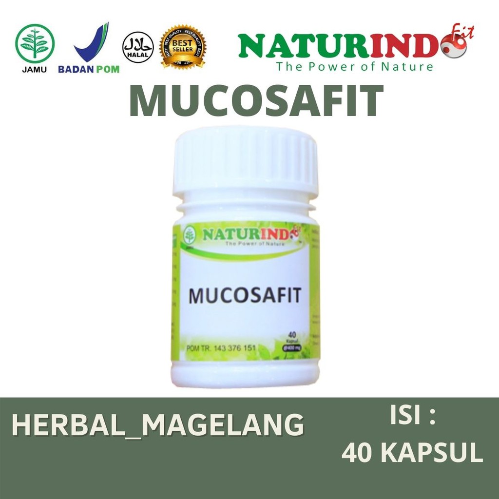 Obat Asam Lambung Herbal Maag Magh Kronis Gerd Anxienty Paling Ampuh Obat Lambung Kapsul-2