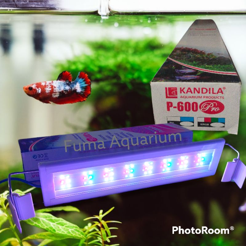 KANDILA P-600 PRO Lampu Gantung Lampu atas Led Aquarium Aquascape RGBW 16watt 60-70cm Pro Series