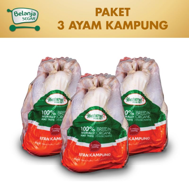 

Paket 3 Ayam Kampung (700-800 gram) - Natural Poultry
