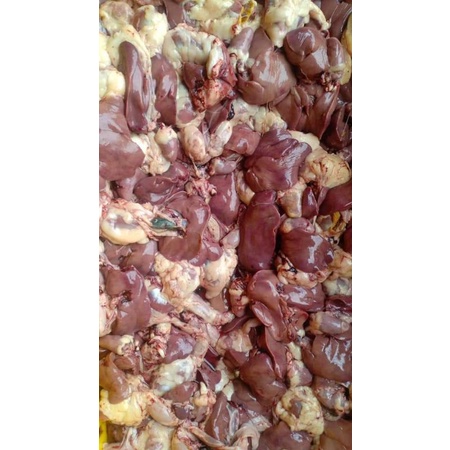 

Ati Ampela / Ati Ayam