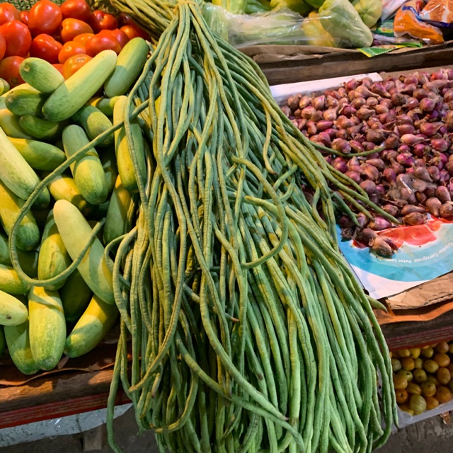 

Kacang panjang