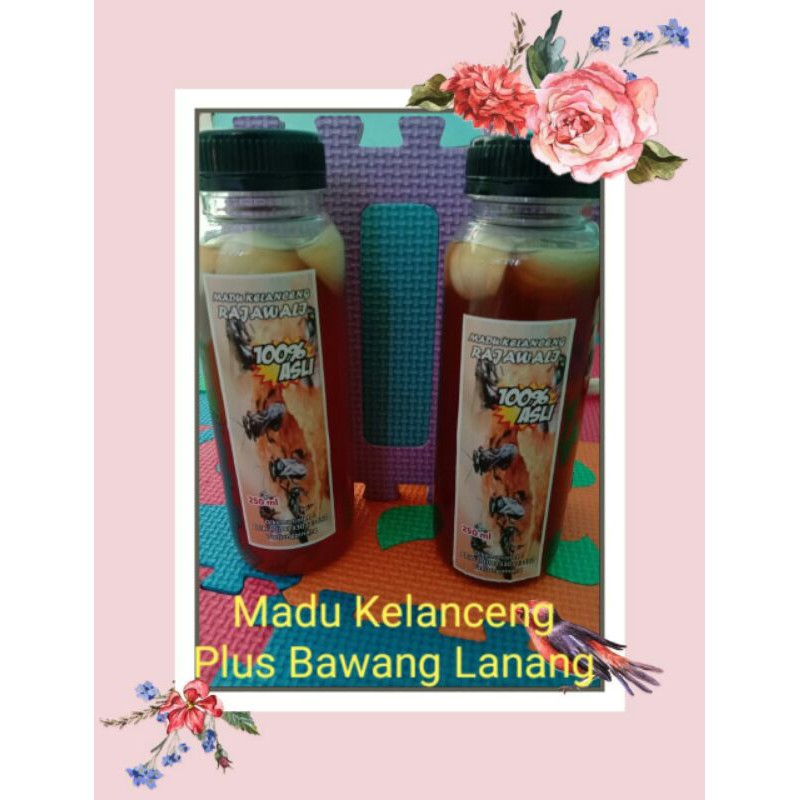

Madu kelanceng asli 100 % plus bawang lanang