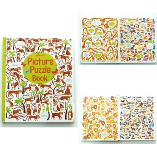 Picture Puzzle Book