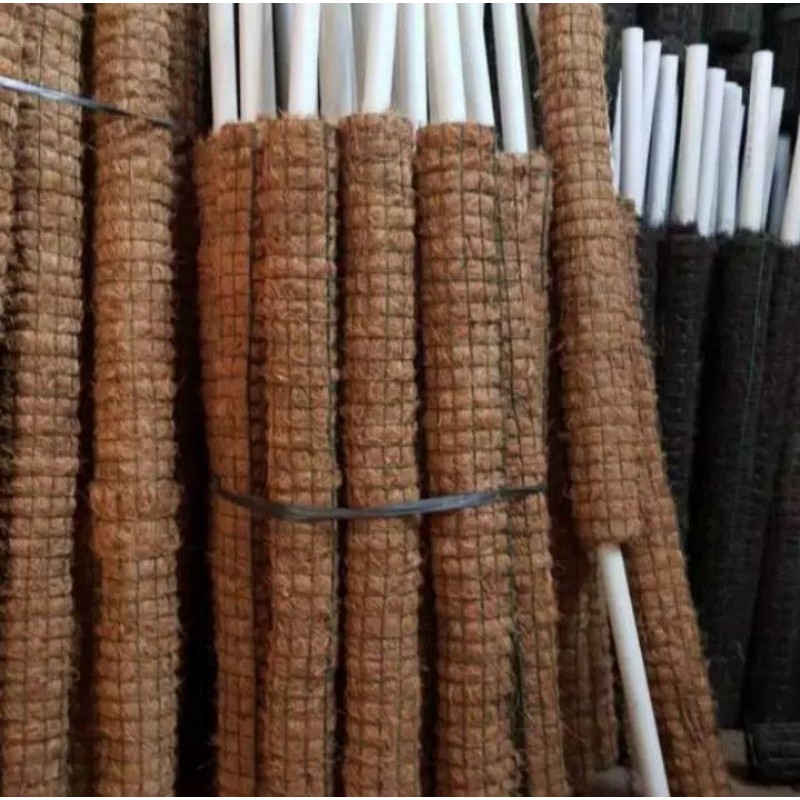 Turus Penyangga Tanaman - Turus Tanaman Rambat 50 cm
